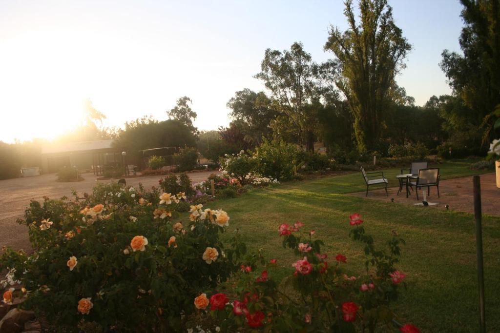 Newell Motor Inn Narrandera Exteriör bild