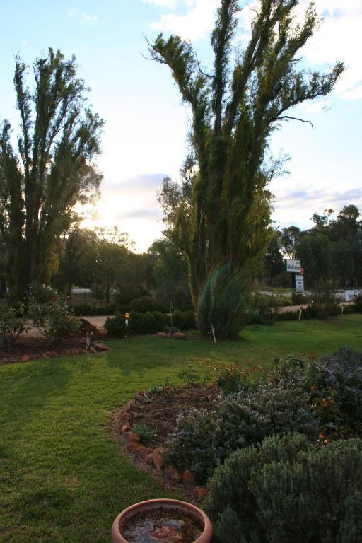 Newell Motor Inn Narrandera Exteriör bild